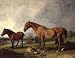 Hand Made Oil Reproduction - James Ward - 24 x 18 inches - Portraits of Blackthorn, a Broodmare, ...