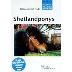 Shetlandponys