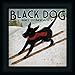 Black Dog Ski Co. by Ryan Fowler Whimsical Labrador Sign Wall Art Print Framed Décor