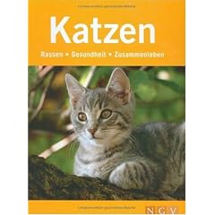 Katzen