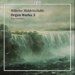 Middleschulte - Organ Works, Vol 3