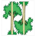 Pedia Pals Tree Height Chart - Standard