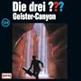 Die drei Fragezeichen - Folge 124: Geister-Canyon