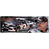 Wincraft Dale Earnhardt 2' x 6' Banner