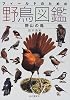 フィールドのための野鳥図鑑―野山の鳥