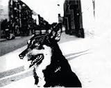 Christian Boltanski: Entendre Les Chiens