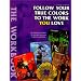 Follow Your True Colors To The Work You Love: The Workbook