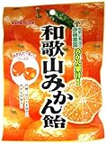 川口製菓 和歌山みかん飴 100g×10袋
