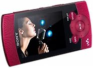 Double Your Memory With Sony
