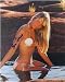 Kim Alexis autographed 8x10 Photo (Model Seashell image)