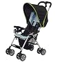 Combi Flare 2010 Lightweight Stroller, Kiwi