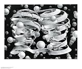 Bond Of Union by Mc Escher Art Print Poster Size: 25.5 x 21.5 