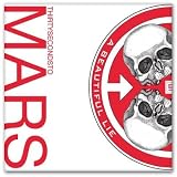 30 Seconds to Mars Beautiful Lie bumper sticker 4" x 4"