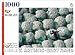 Worker Resting Among Cotton Bales Jigsaw Puzzle 1000pc