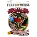 Ferry-Morse 1389 Thyme Herb Seeds (250 Milligram Packet)