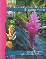 Ornamental Plants and Flowers of Tropical Mexico: A Guide for the Curious Tourist or Resident