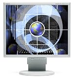 NEC LCD1770VX MultiSync 17 LCD Monitor (Silver/White)