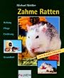 Zahme Ratten