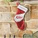 Detroit Red Wings Colorblock Plush Stocking