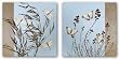 Butterflies and Dragonflies Set by Caroline Gold 18"x18" Art Print Poster