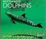 Bottlenose Dolphins (Worldlife Library)