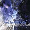 The Opposite of December...A Season of Separation