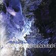 The Opposite of December