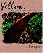 Book Yellow: Memoir Of A Chinese Immigrant
