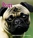 Pugs 2010 Hardcover Weekly Engagement