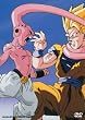 DragonBall Z: Kid Buu Saga