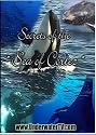 Secrets of the Sea of Cortez