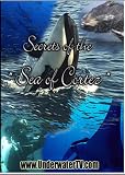 Secrets of the Sea of Cortez