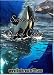 Secrets of the Sea of Cortez