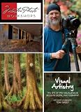 Buy : Visual Artistry: The Art of Pre-Visualizing in Modern Digital Photography