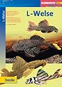 L-Welse, Faszination