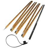 Black Diamond QuickDraw Guide Probe 300
