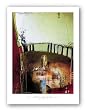Quixotic I by Ivan Reyes 23.625"x31.25" Art Print Poster