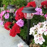 SohoDecor 2 Pack Jessica Landscaping Solar Lights