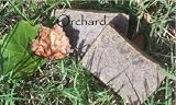 Orchard