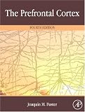 The Prefrontal Cortex, Fourth Edition