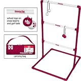 Mississippi State Bulldogs NCAA Tailgate Golf Game