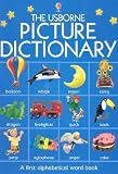 The Usborne Picture Dictionary