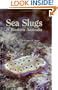 Sea Slugs of Western Australia