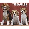 Beagles 2012 Calendar