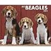 Beagles 2012 Calendar