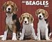 Beagles 2012 Calendar
