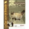 Le Chat sacr� de Birmanie