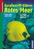 Korallenriff-F�hrer Rotes Meer: Rotes Meer bis Golf von Aden, S�doman - Ewald Lieske