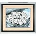 Snow Leopard Cubs PBN