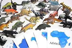 Amazon.com: Continent Critters - Montessori Continent Box Materials